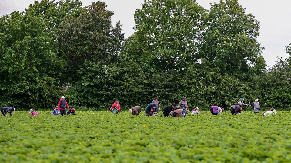 Ontwerp Beleidsnota huisvesting arbeidsmigranten ligt ter inzage