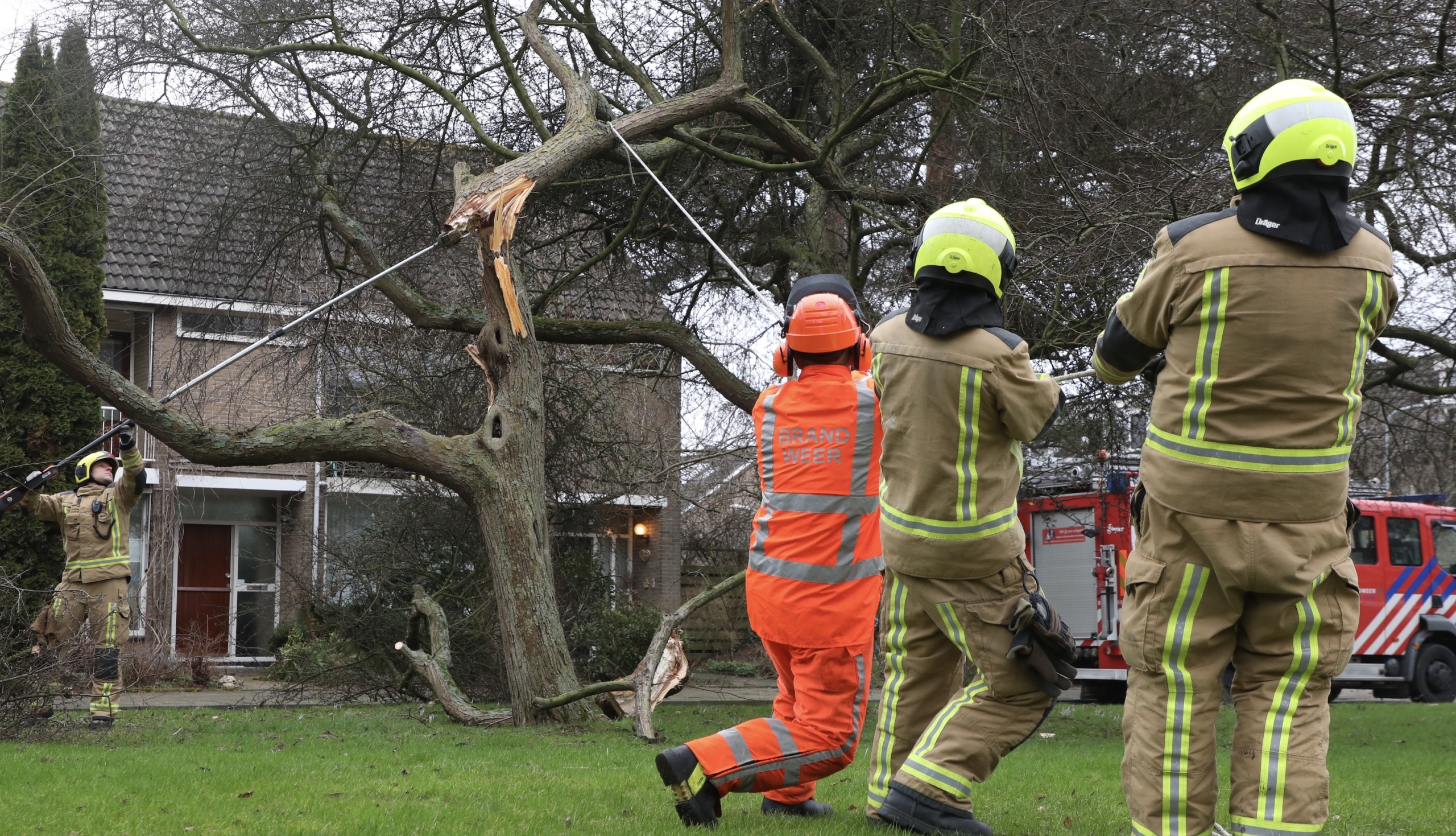 Storm Corrie breekt boom Dillenburgsingel in twee stukken