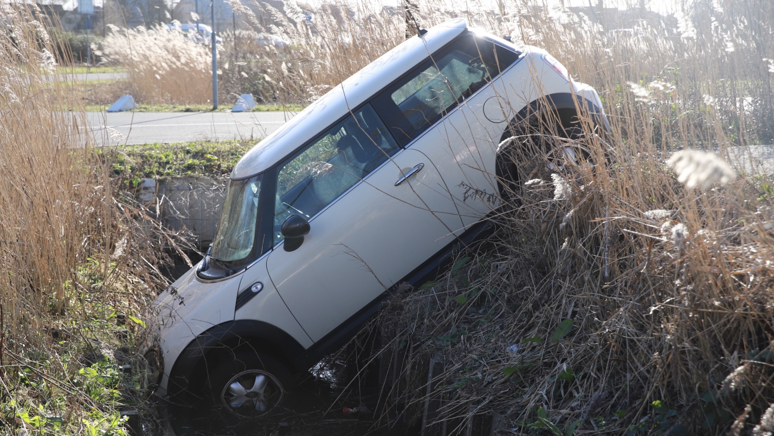 Geparkeerde mini neemt frisse duik op in Wilhelminapark