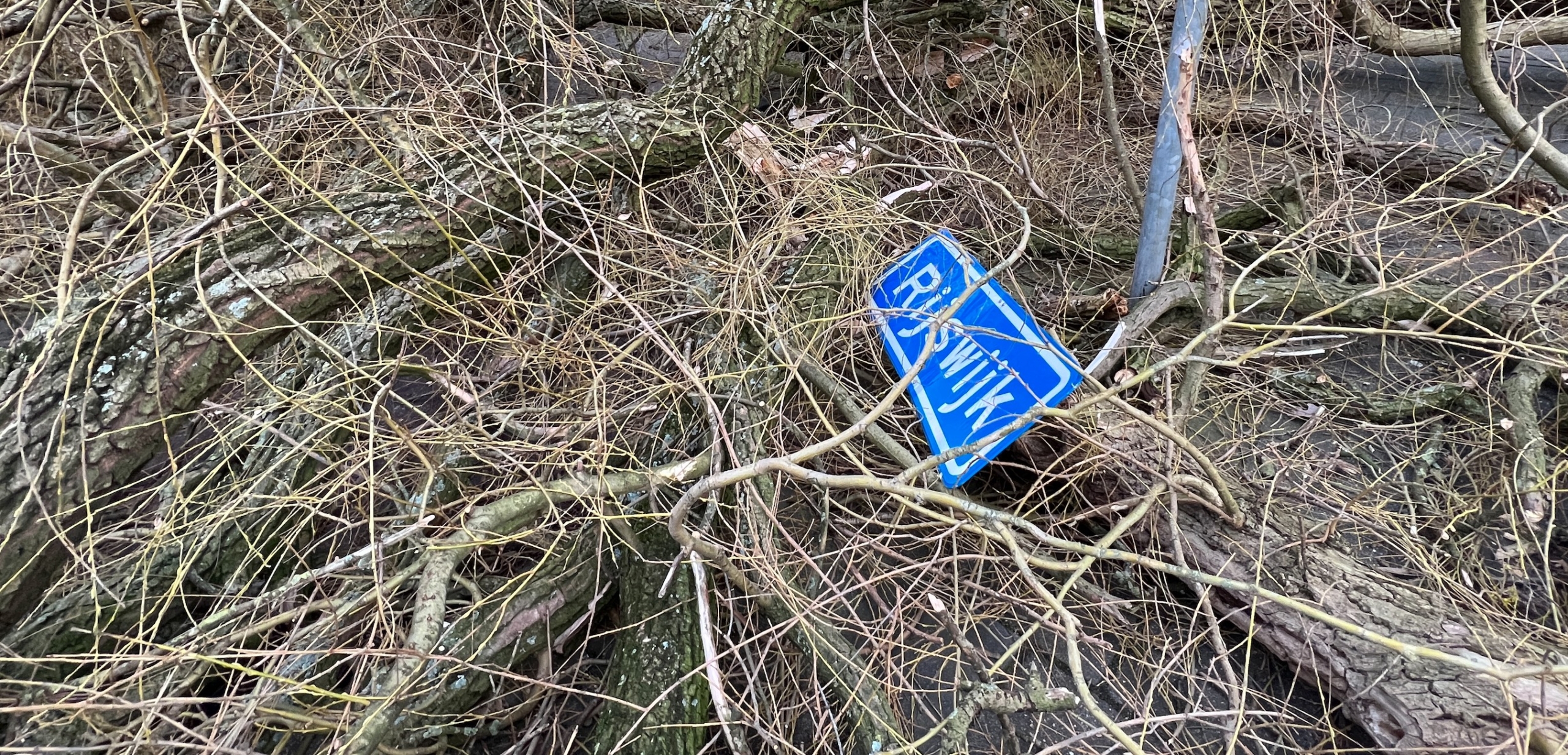 Grote boom valt op rijbaan aan Steenlaan