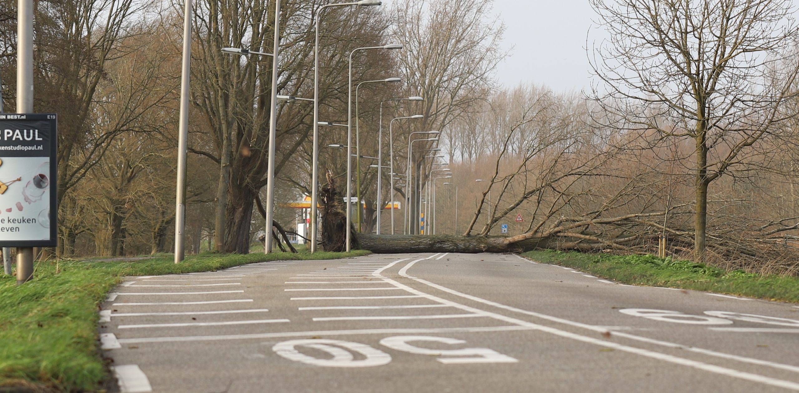 Storm Eunice: Bomen vallen om op Noordweg en schade aan pand Hockeyclub Pijnacker