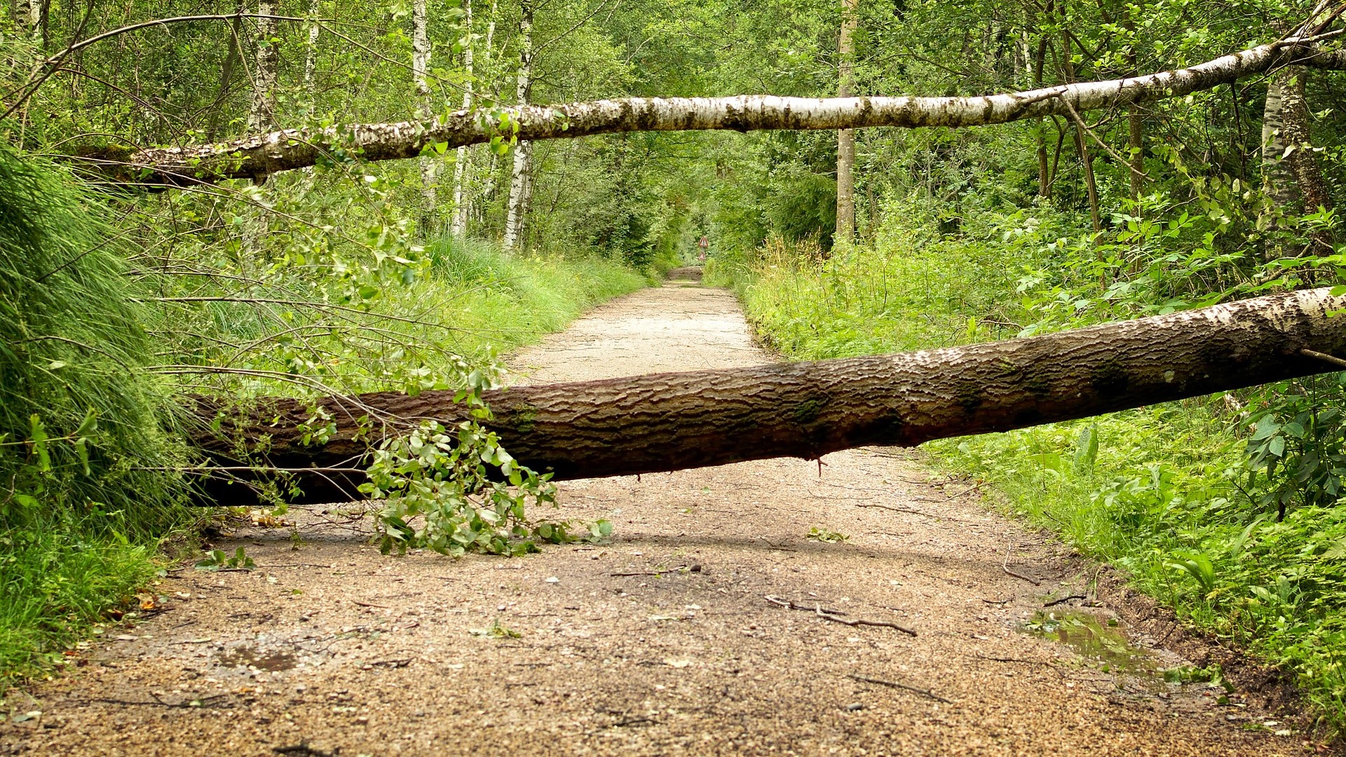 Woensdagochtend code geel vanwege harde wind