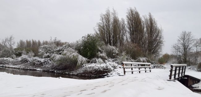 Sneeuw-2