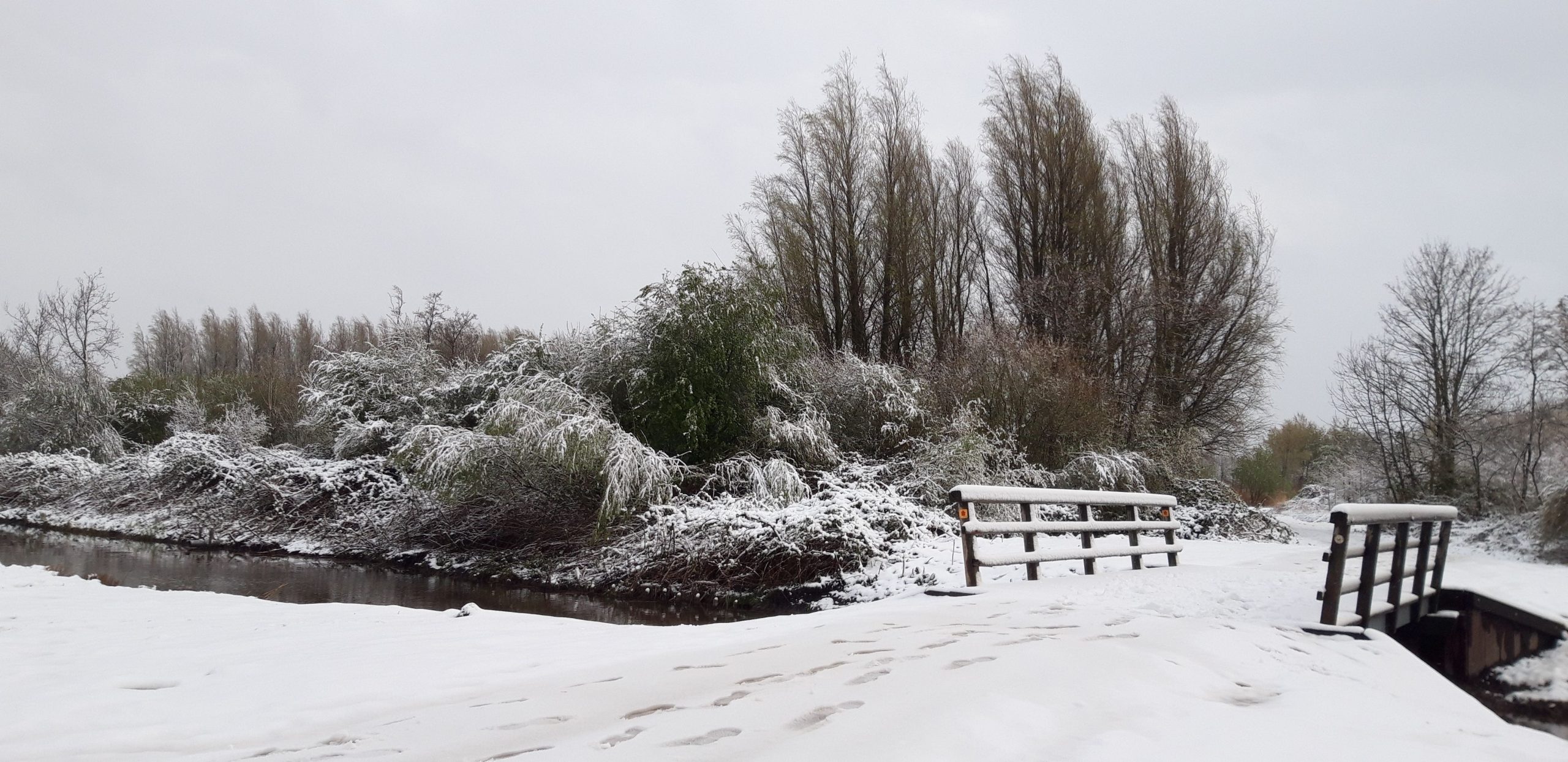 Wakker worden met sneeuw in Pijnacker-Nootdorp Wakker worden met sneeuw in Pijnacker-Nootdorp