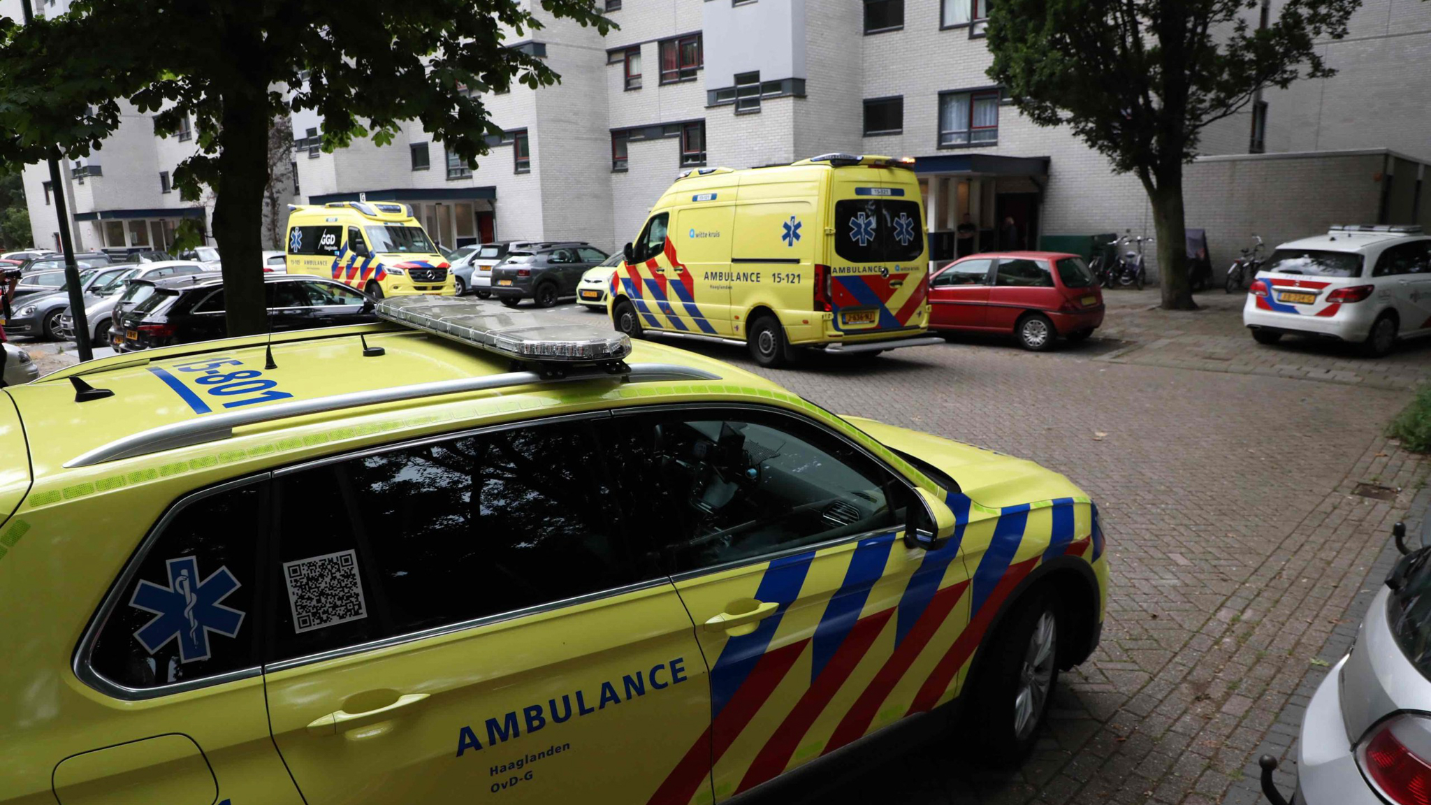 Zeven jaar celstraf voor doodsteken vriend in flatwoning De Haar