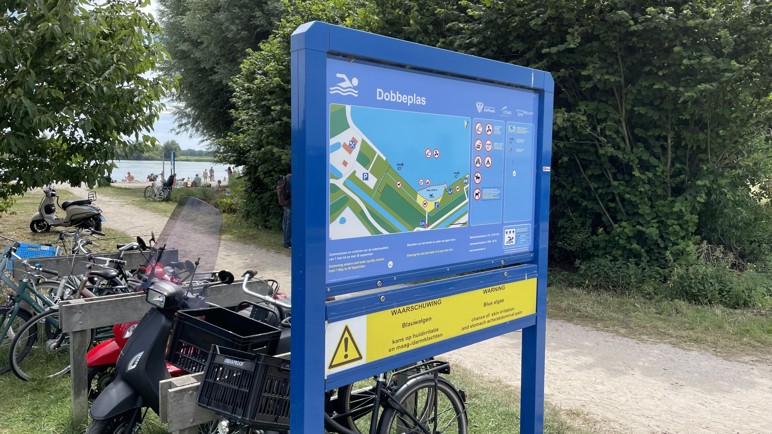 Waarschuwing voor blauwalg in Dobbeplas in Nootdorp