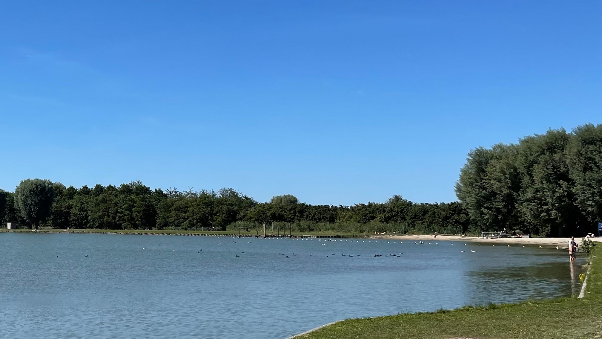 Werkzaamheden strand Dobbeplas