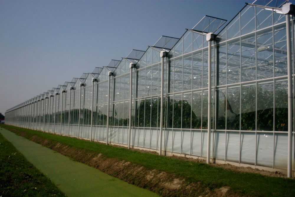 Waterkwaliteit van Pijnacker’s Oude Polder wordt flink verbeterd