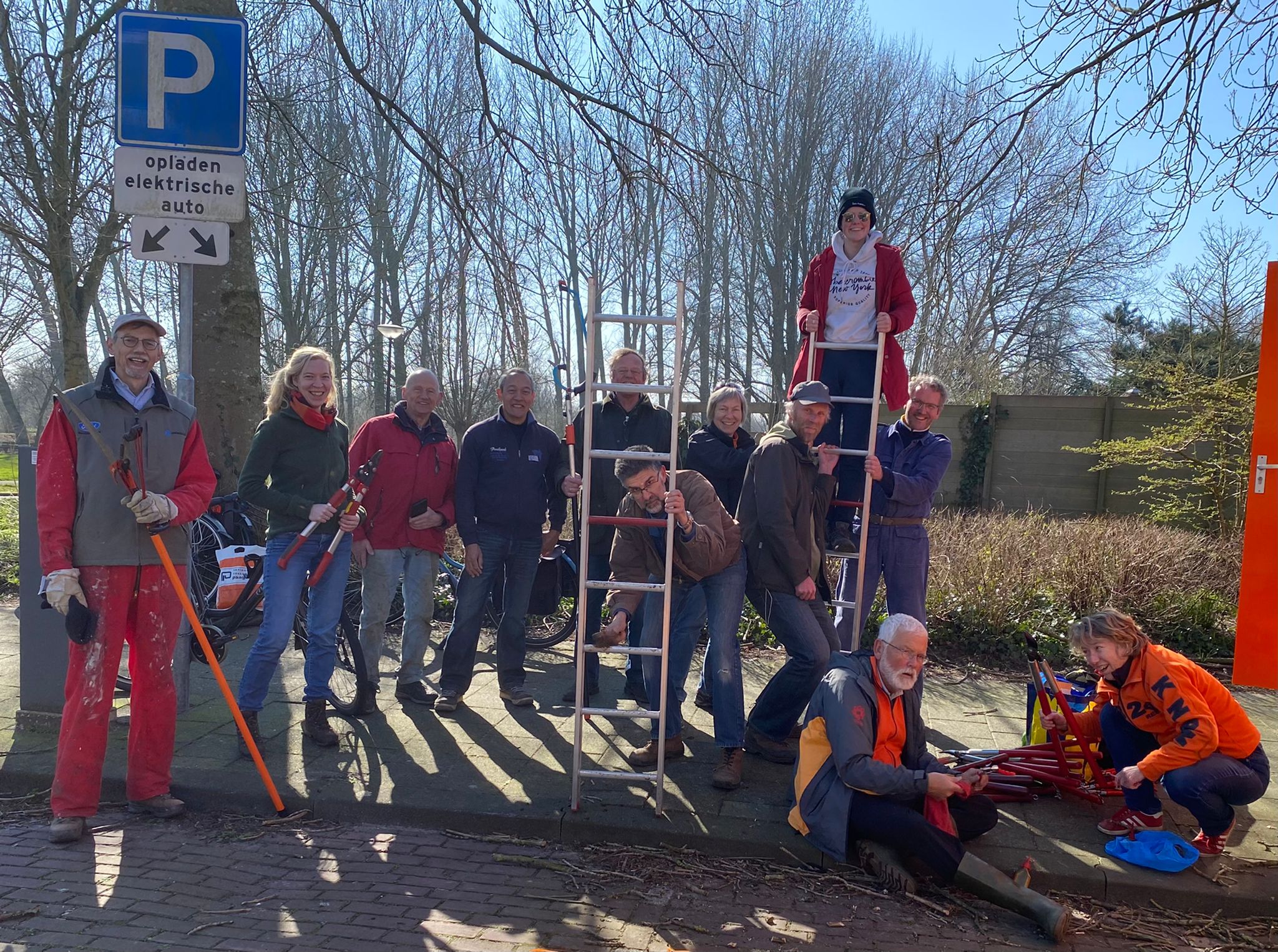 Wilgen knotten in Hoekpolder en Kruisvaarderspark