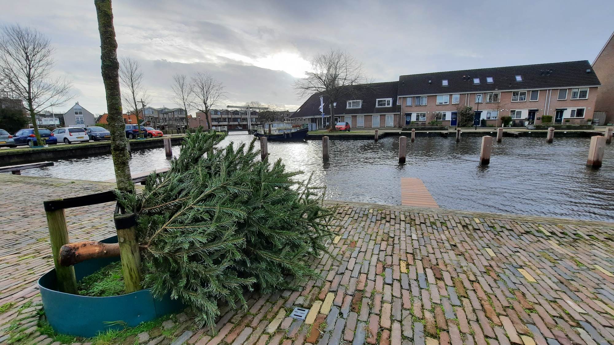 Breng jouw oude kerstboom naar een inzamelpunt in de buurt