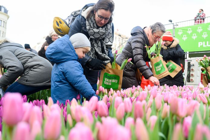 Vier het voorjaar in Pijnacker-Centrum met leuke activiteiten