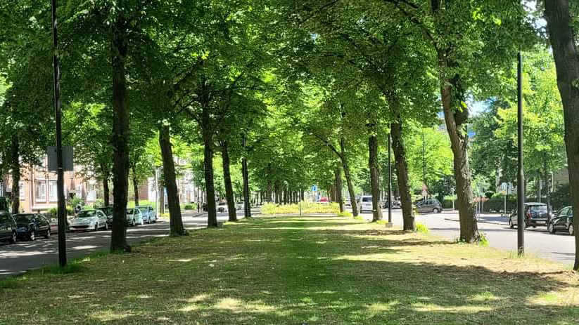 Klein Plaspoelpolder wordt groener en levendiger