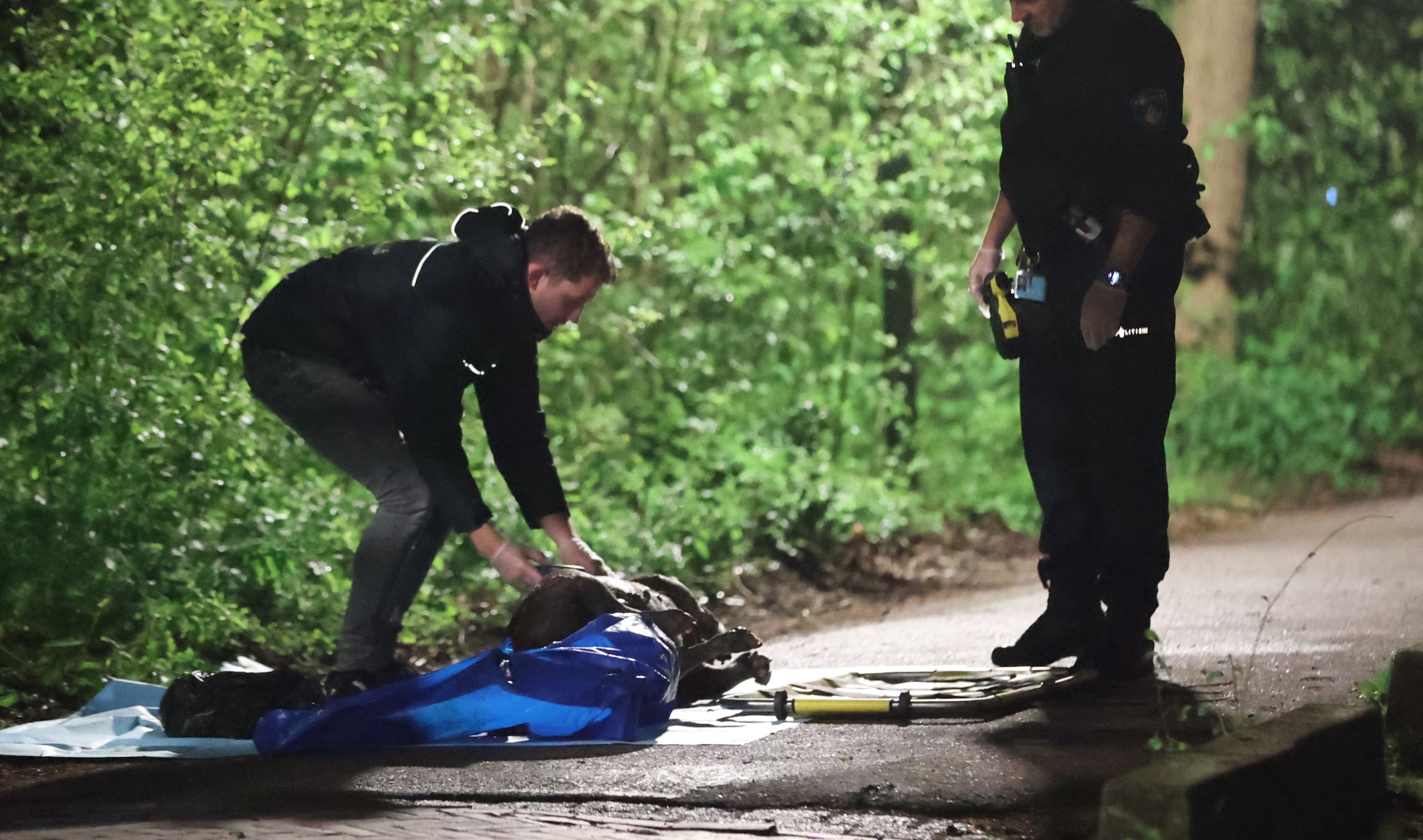 Dode hond in plastic zak gevonden in Kruisvaarderspark