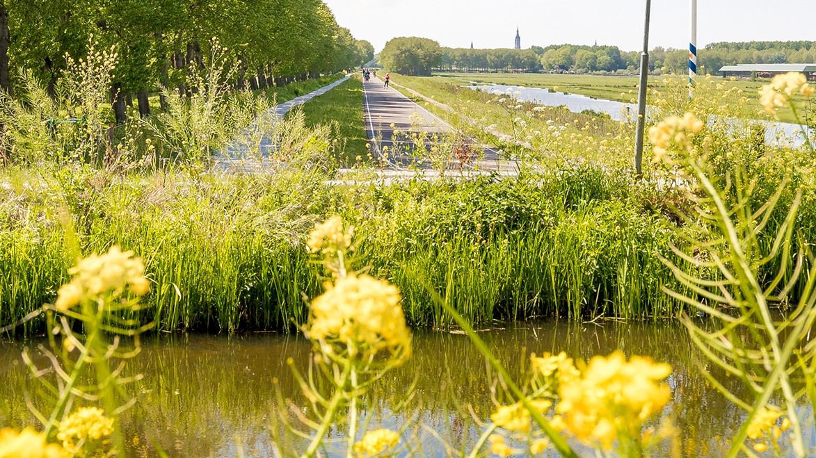 Meer geld voor uitvoering groenbeheer Pijnacker-Nootdorp