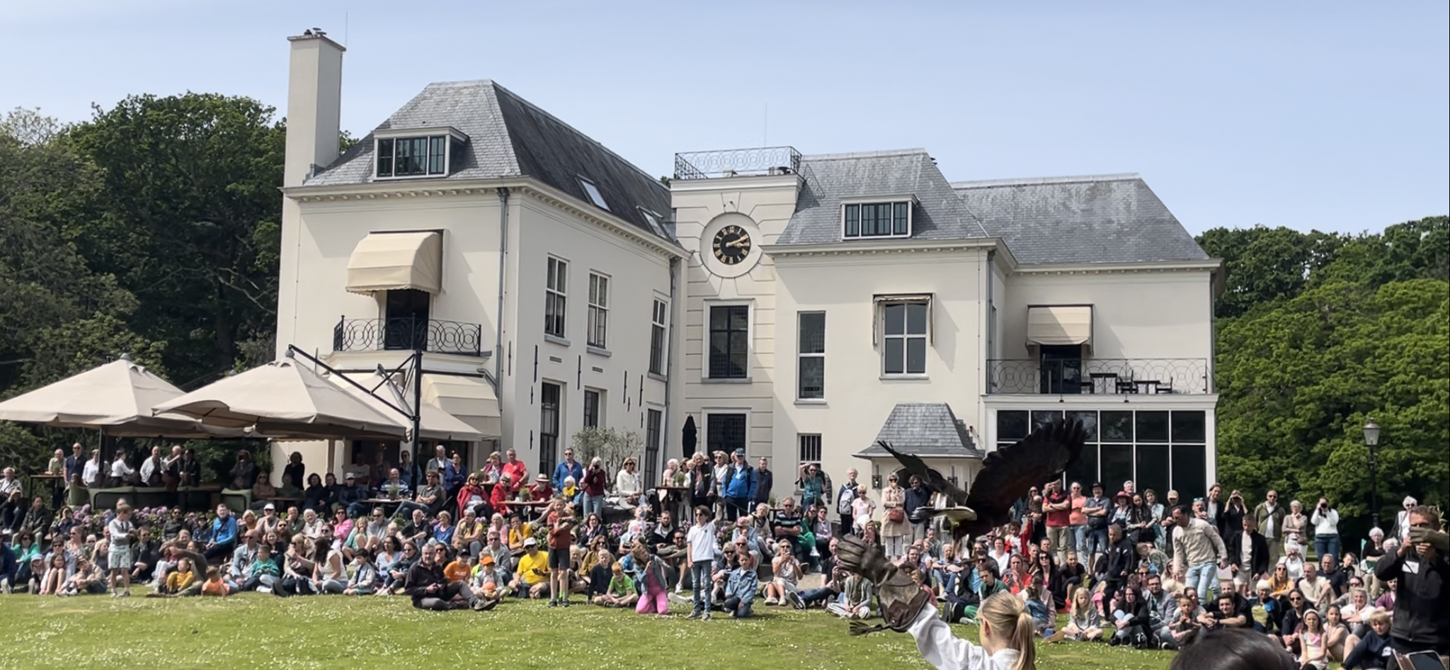 [VIDEO] Landgoed Te Werve organiseert roofvogelshow