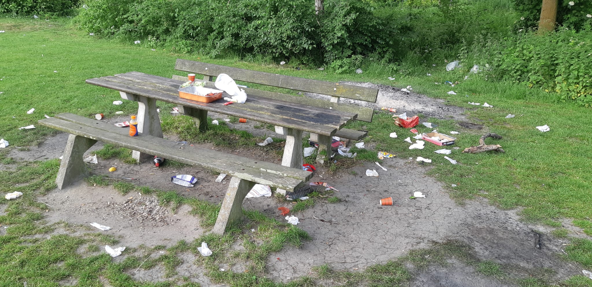 Geen BBQ verbod in Wilhelminapark