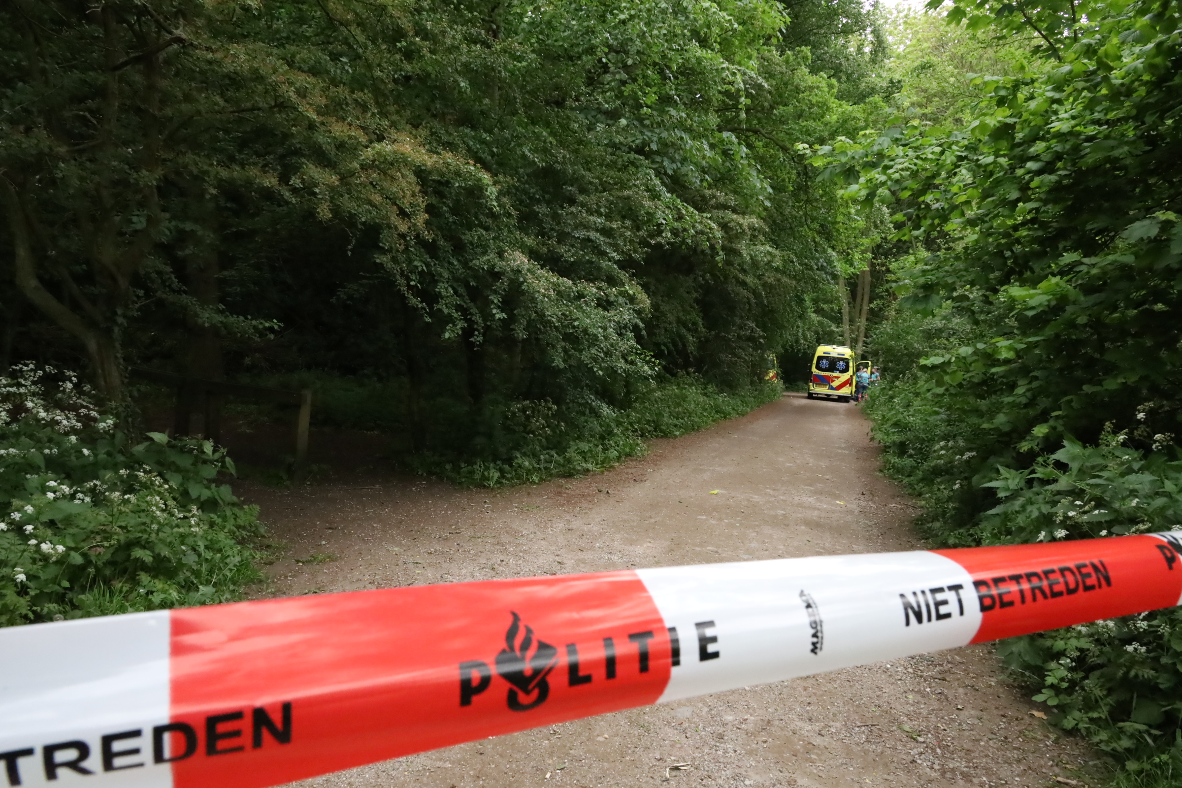 Lichaam vermiste taco Dolfing (61) gevonden