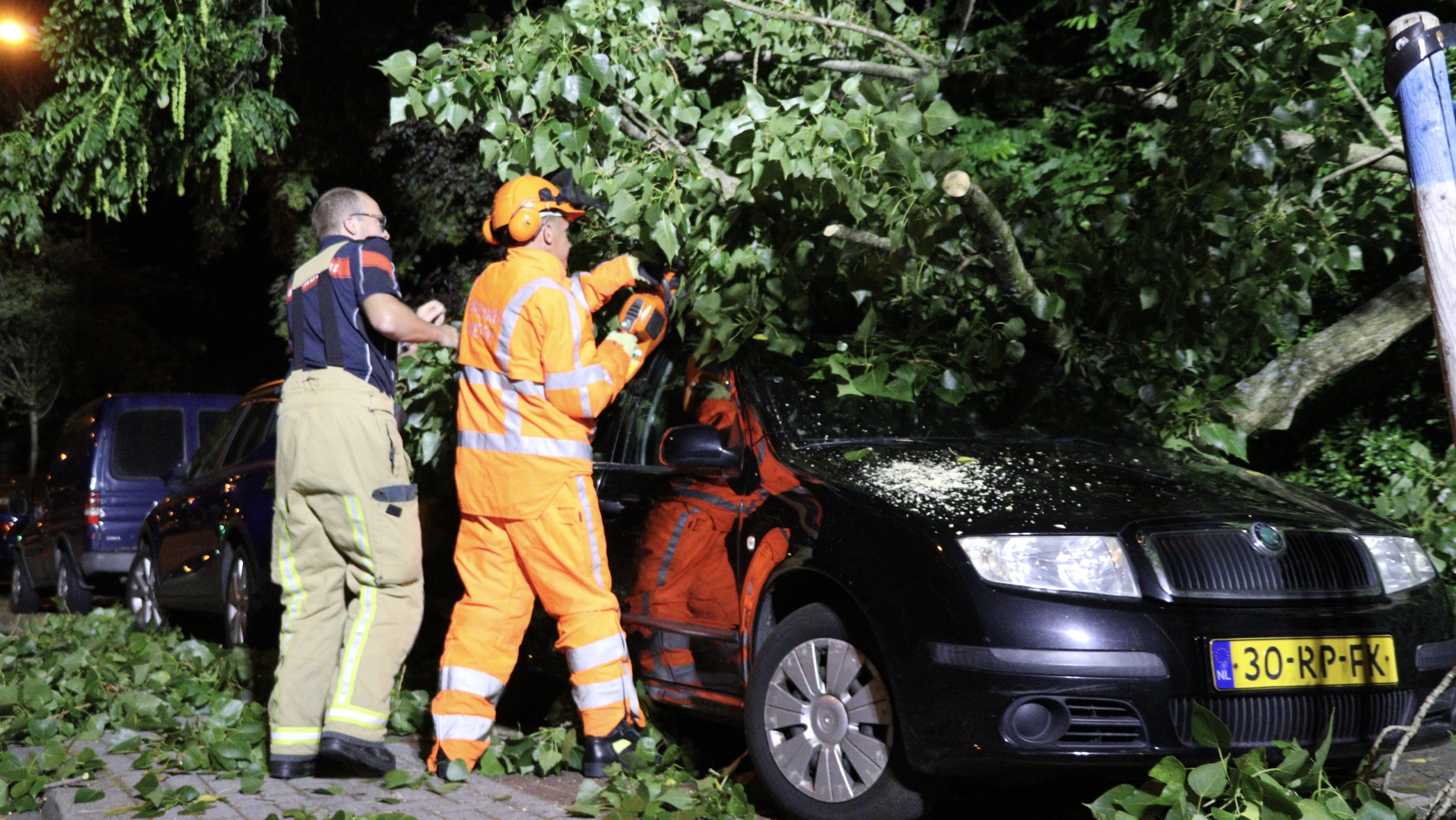 Grote tak van boom valt op auto in Rijswijkse Treubstraat