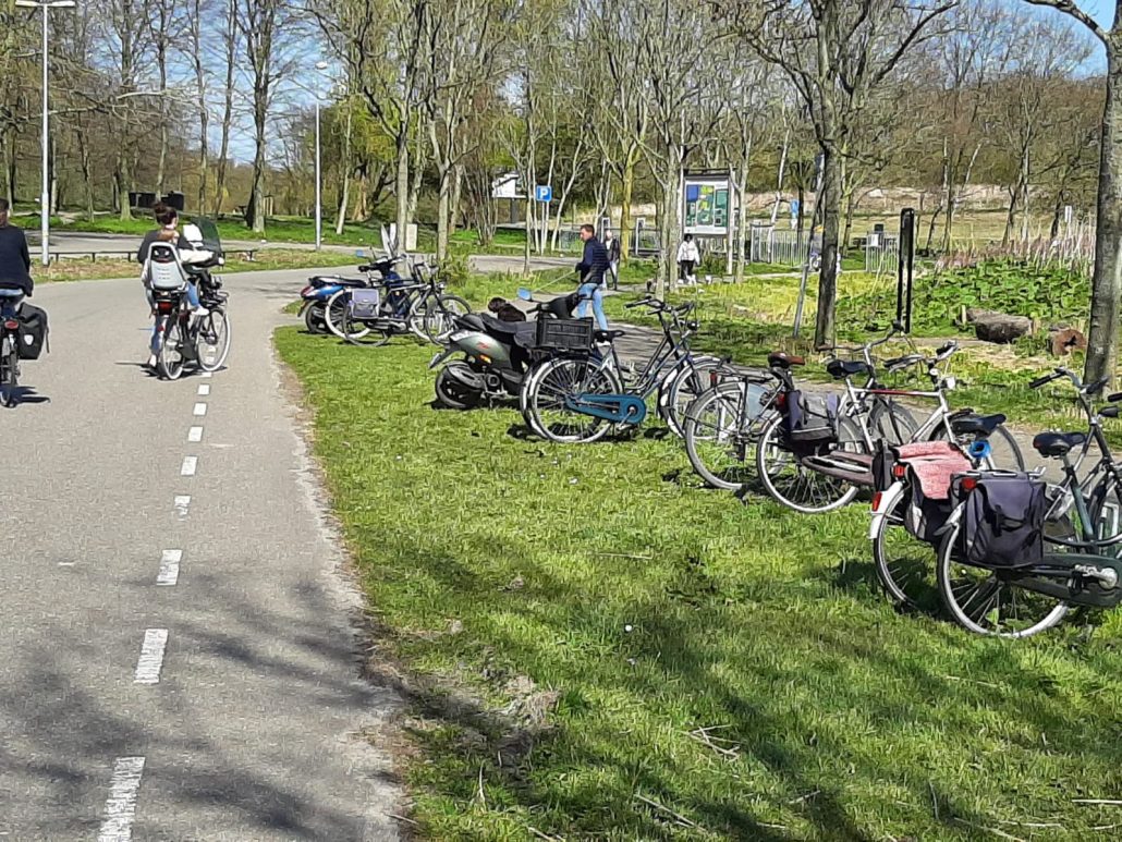 Voorstel betaald parkeren Wilhelminapark kent geen meerderheid