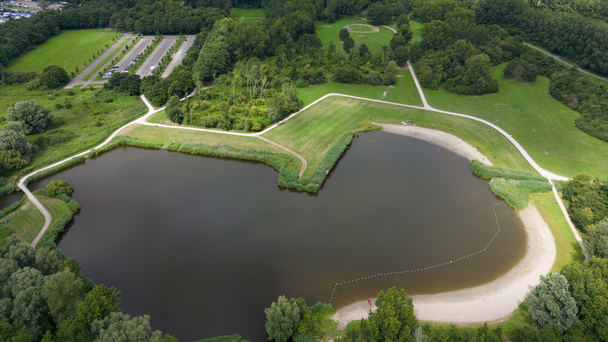 Blauwalg in Speelvijver Vlietland