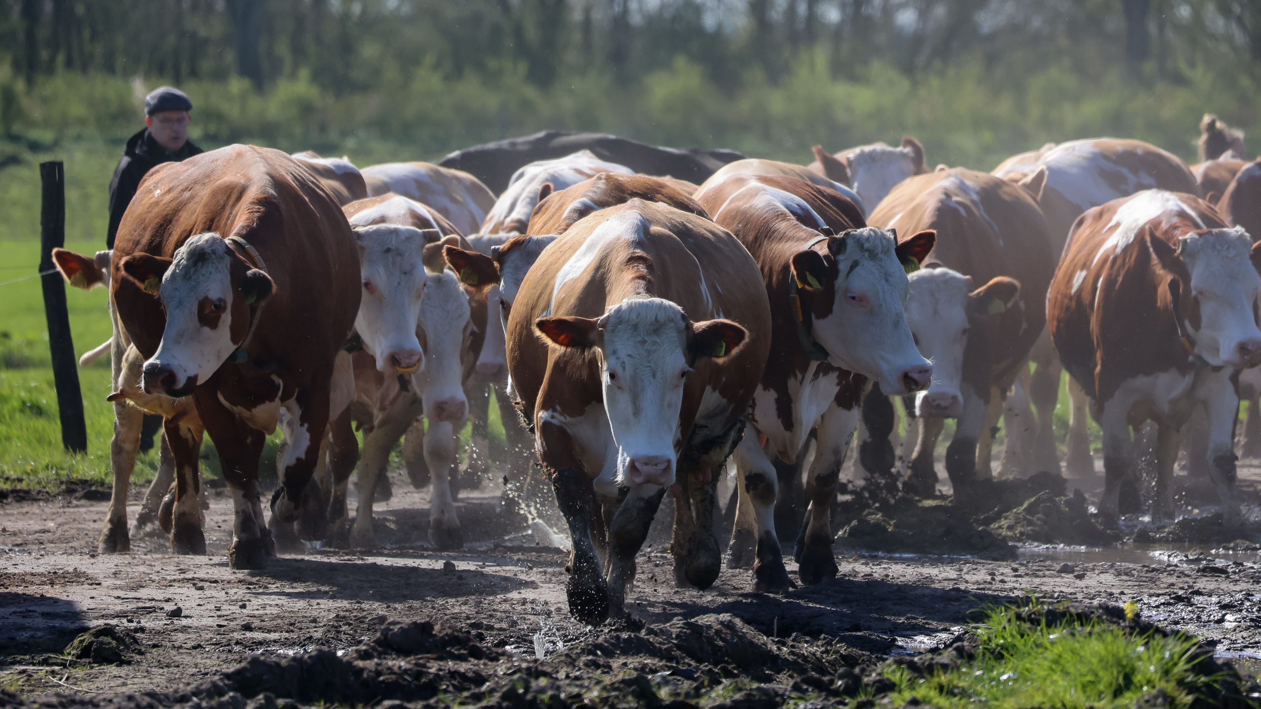 Beleef het boerenleven van dichtbij 🗓