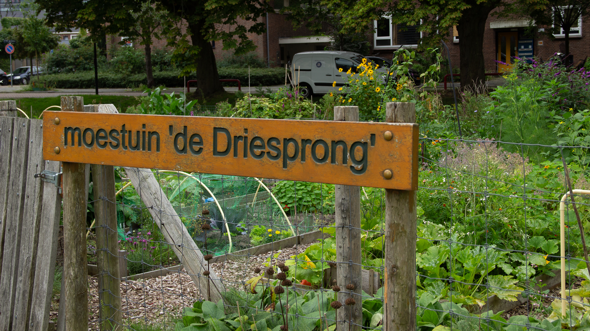 Moestuin De Driesprong al bijna tien jaar plek van ontspanning: “Prachtpark!”