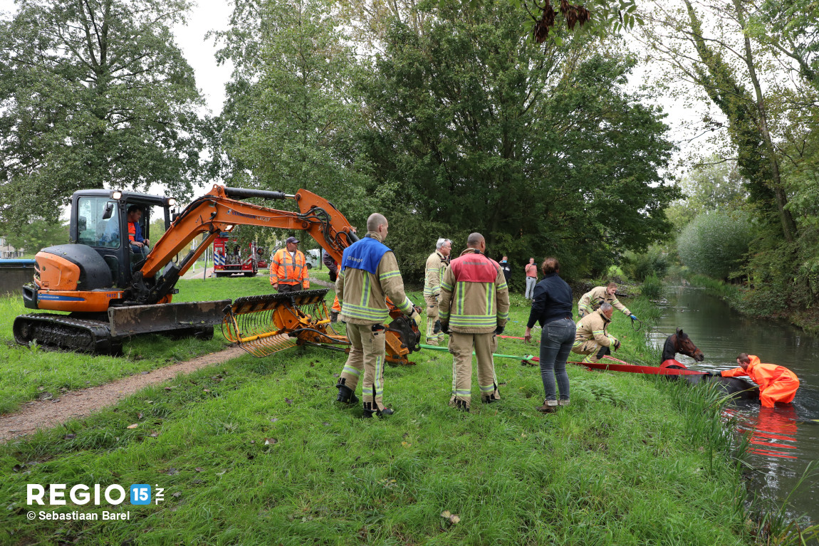 Paard uit de sloot gehaald Hoogseweg