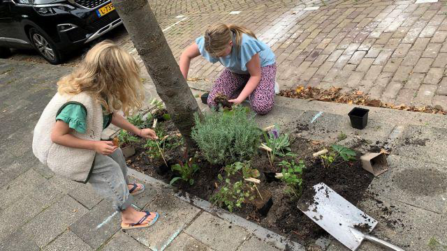 Gemeente Pijnacker-Nootdorp neemt deel aan NK Tegelwippen