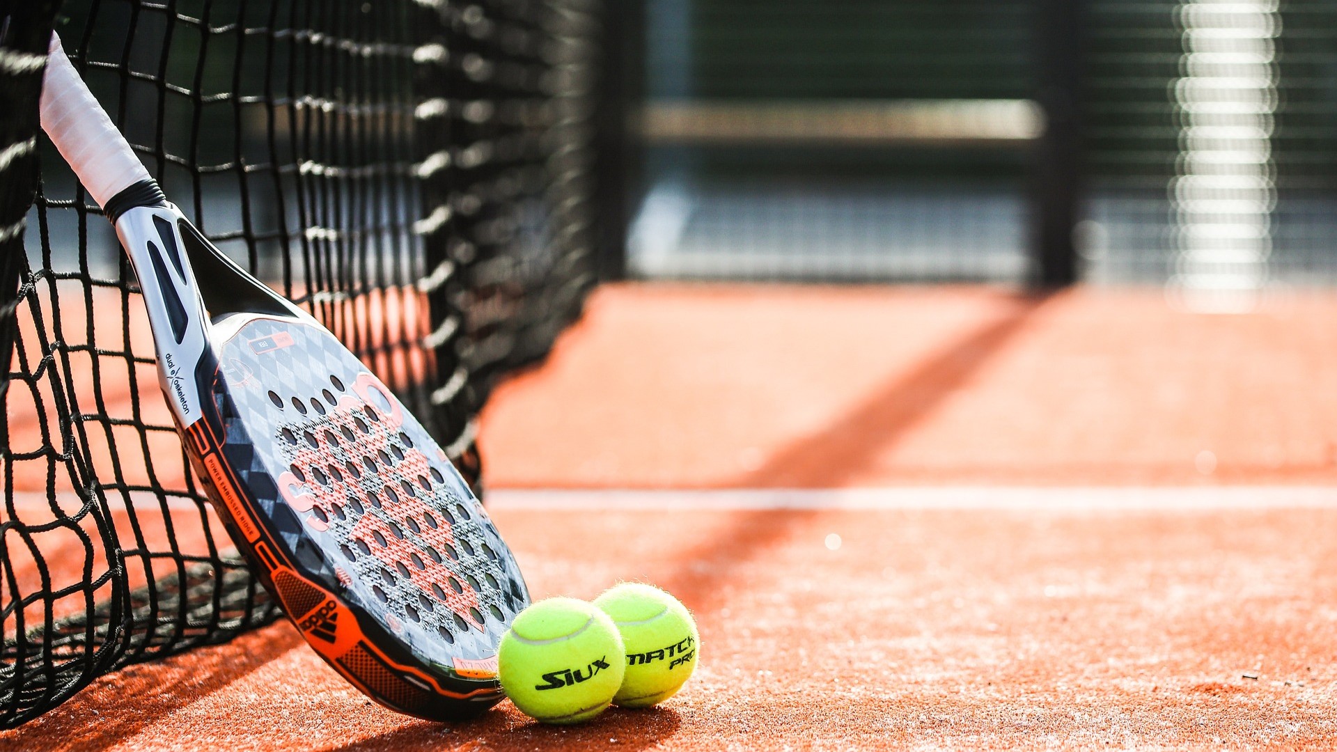 Mogelijk padelbanen in de gemeente