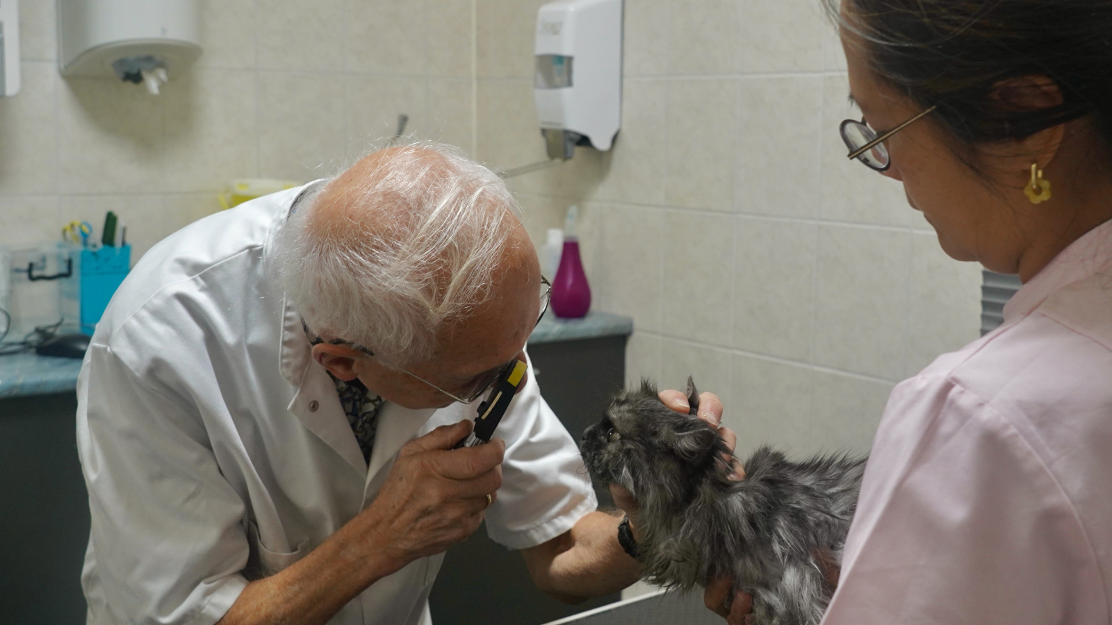 Dierenarts Bert van Toor helpt baasjes die weinig te besteden hebben