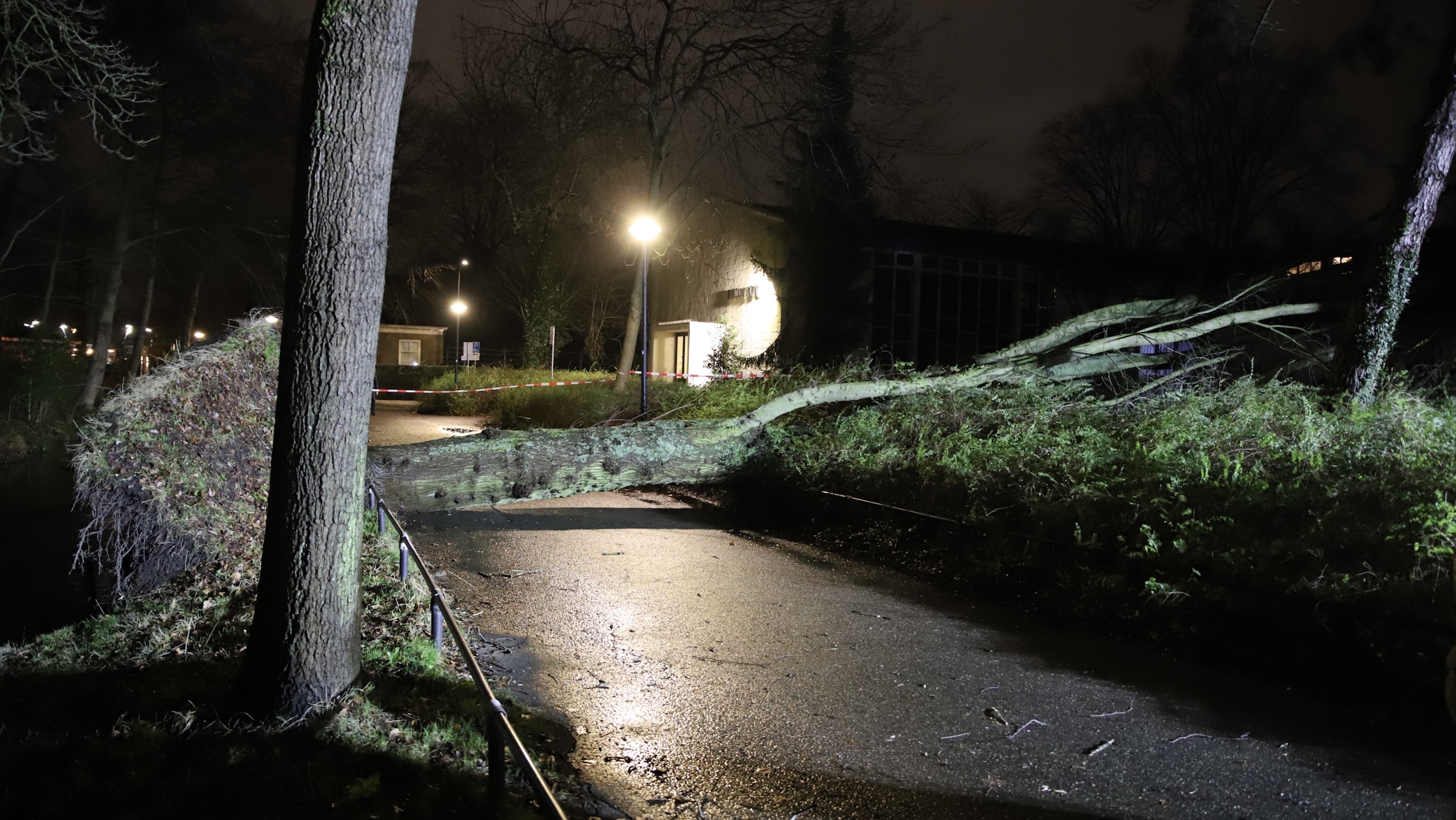 Boom valt op fietspad en kerk Laan te Blotinghe