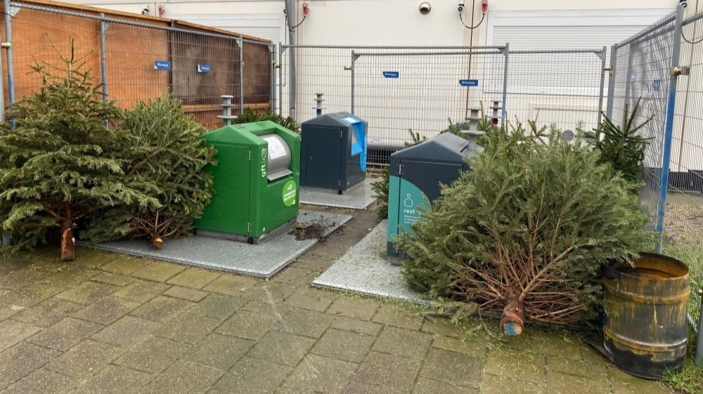 Wat doe je met je kerstboom na de feestdagen?