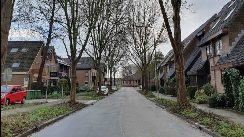 Bomen worden verwijderd voor nieuwe kabels en leidingen