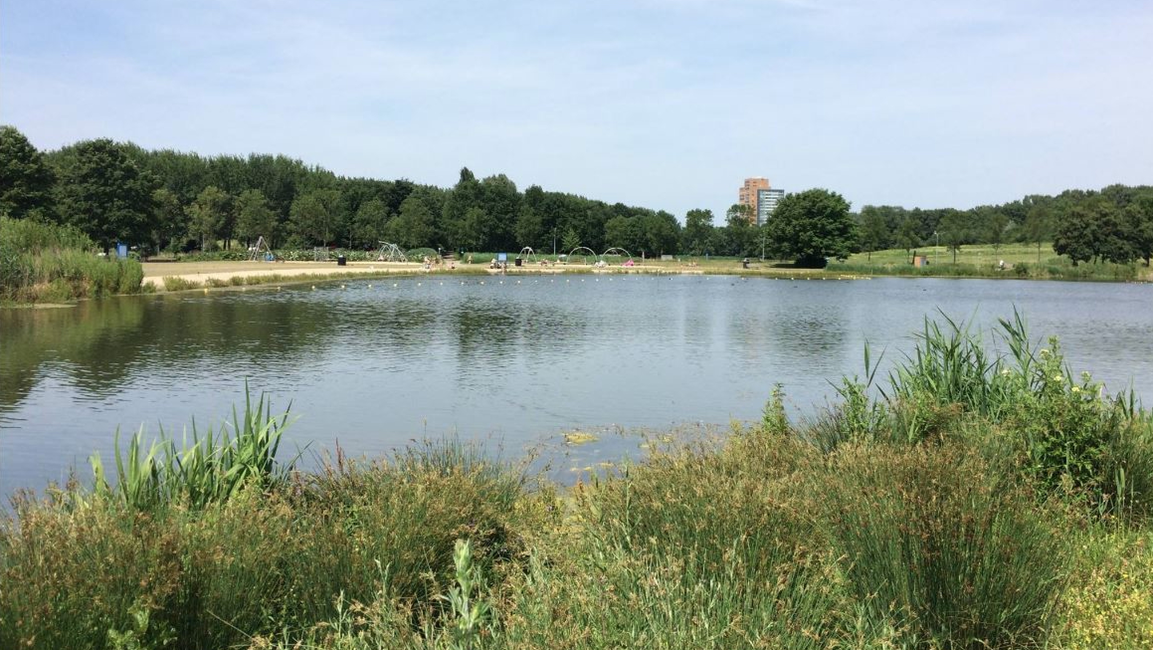 Zwemplas Wilhelminapark wordt drooggelegd voor komend zwemseizoen