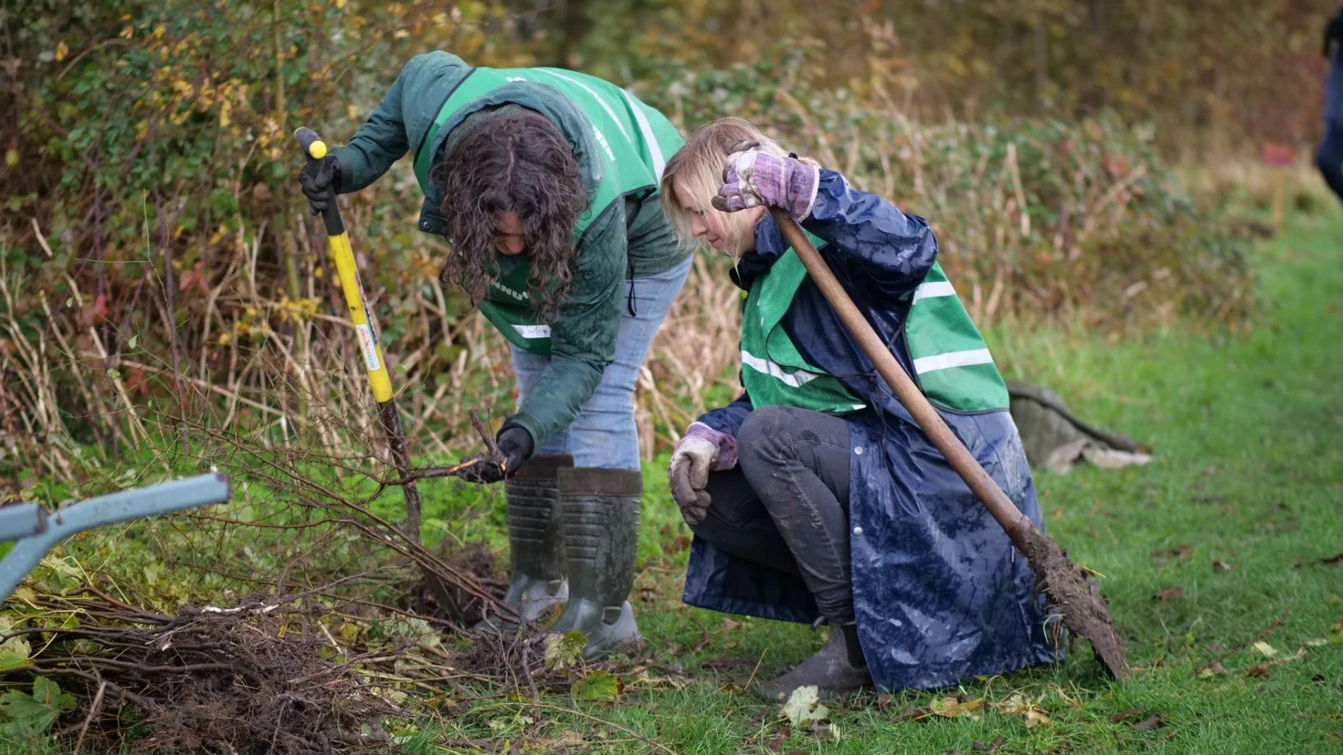 Gemeente redt zaailingen met Meer Bomen Nu