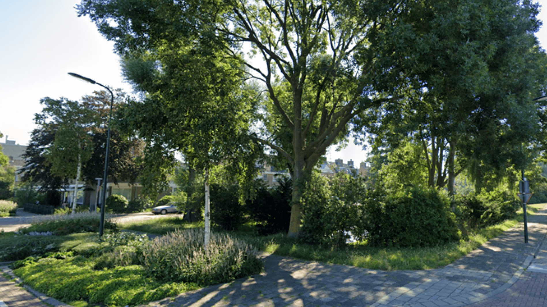 Wijkgroenbeheerplan leidschendamse wijken goedgekeurd