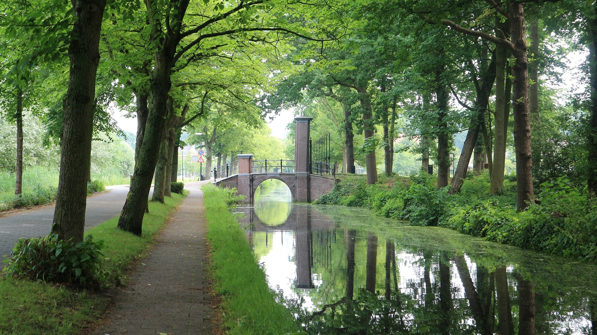 Gemeente introduceert ‘Rijswijkse Foto van de Maand’ verkiezing