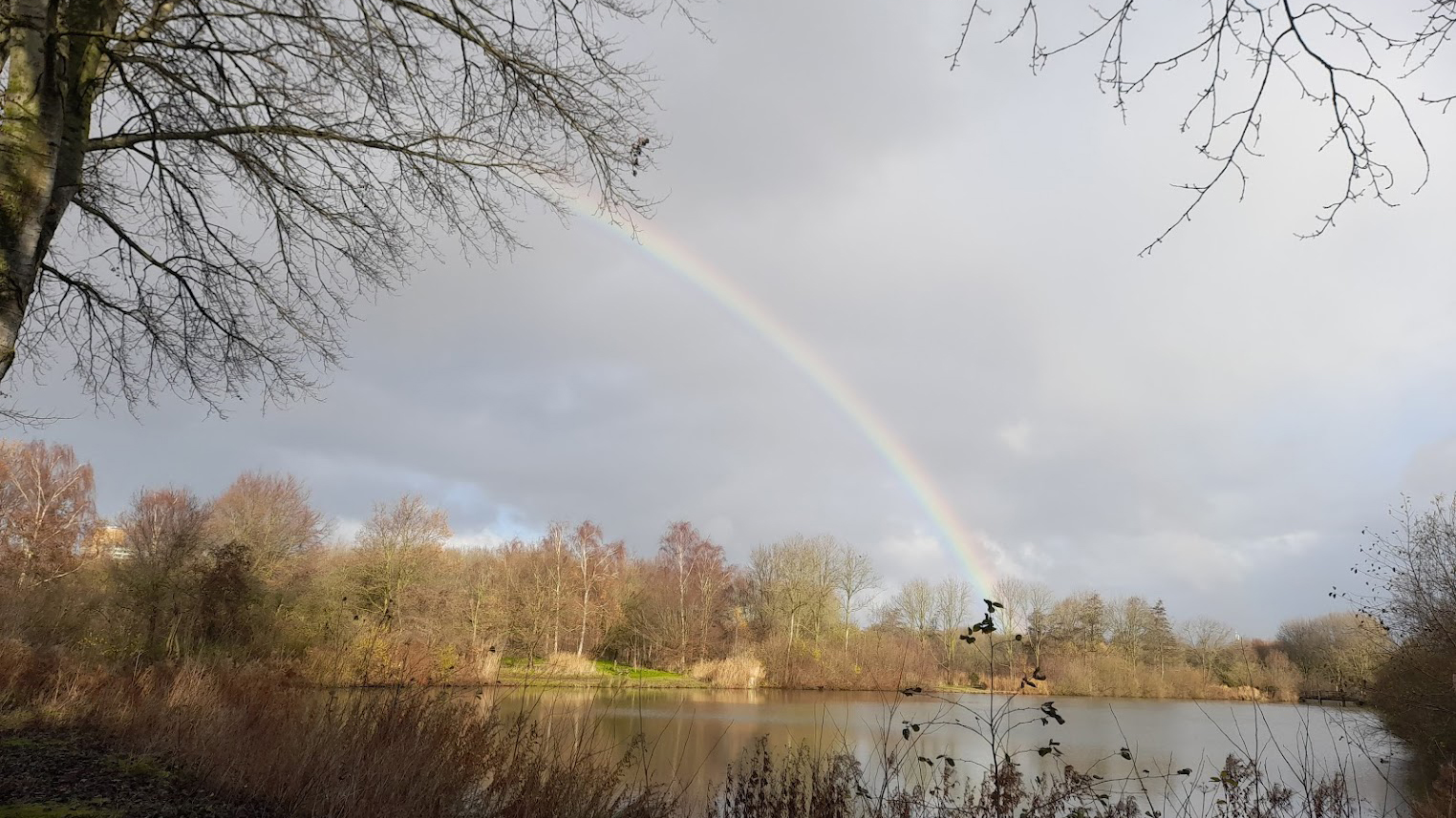Meerdere kleine branden in Wilhelminapark door hitte en droogte