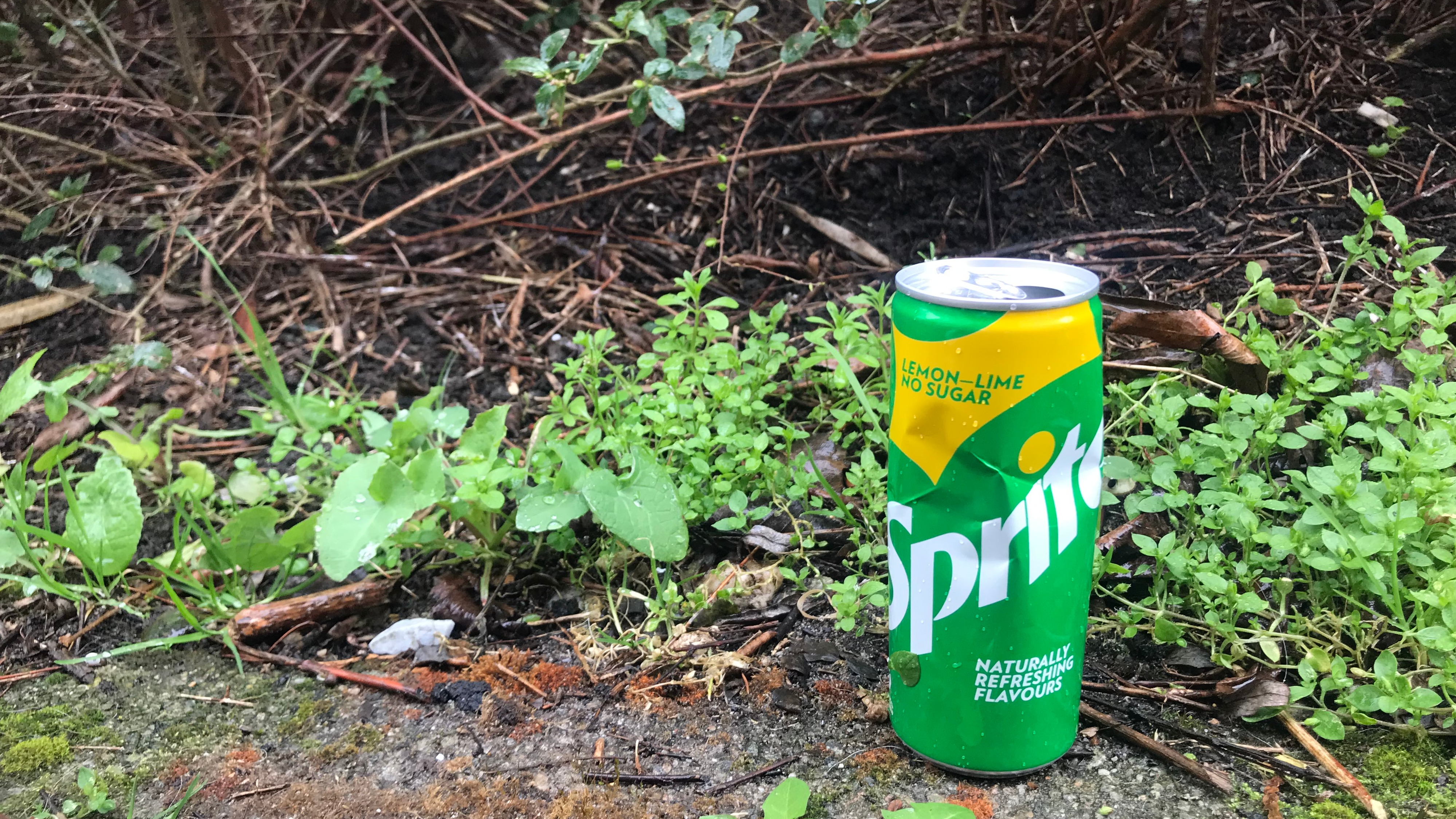 Nationale opschoondag houdt Prinsenhof schoon en fris