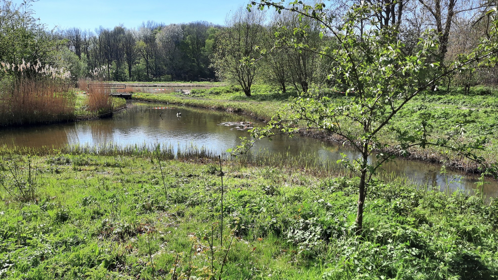 Beleef het voorjaar tijdens de Open dag in Natuurtuin Rijswijk