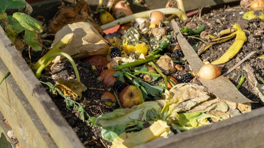 Haal gratis compost bij Avalex op landelijke Compostdag