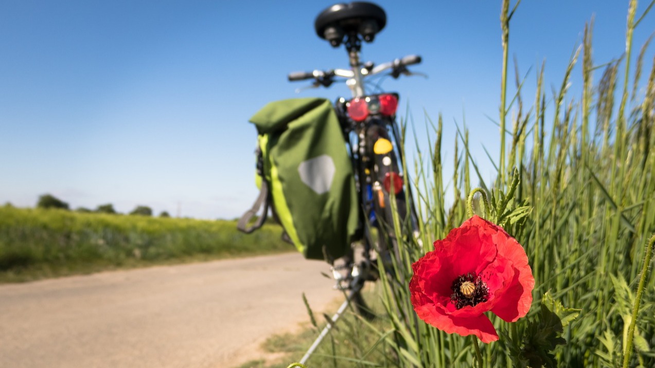 Pijnacker-Nootdorp bereidt zich voor op de vierde editie van ‘Fiets Rondje Dorp’