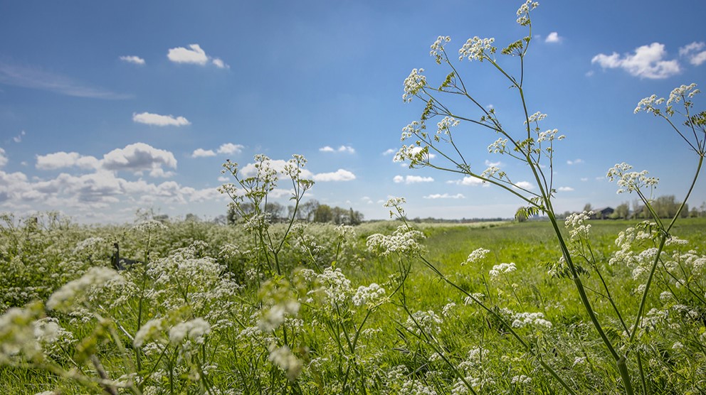 Gemeente begint met grootschalig groenonderhoud na warme winter