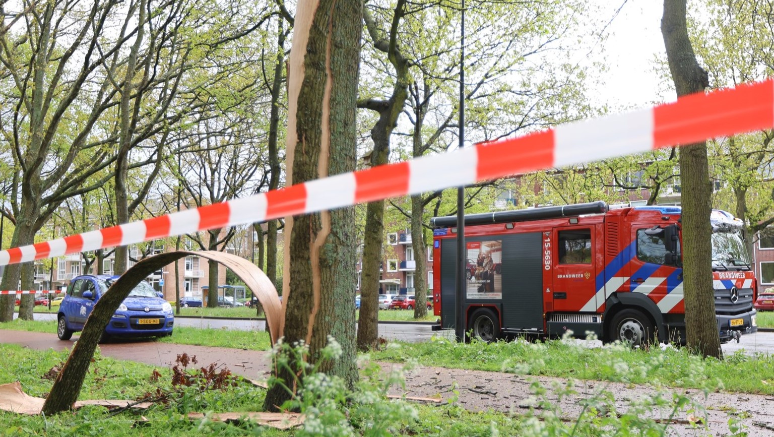 Bliksem slaat in op boom aan de Huis te Landelaan