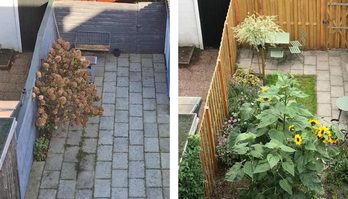 Vergroen jouw tuin tijdens de Tuinmetamorfosewedstrijd Groei & Bloei