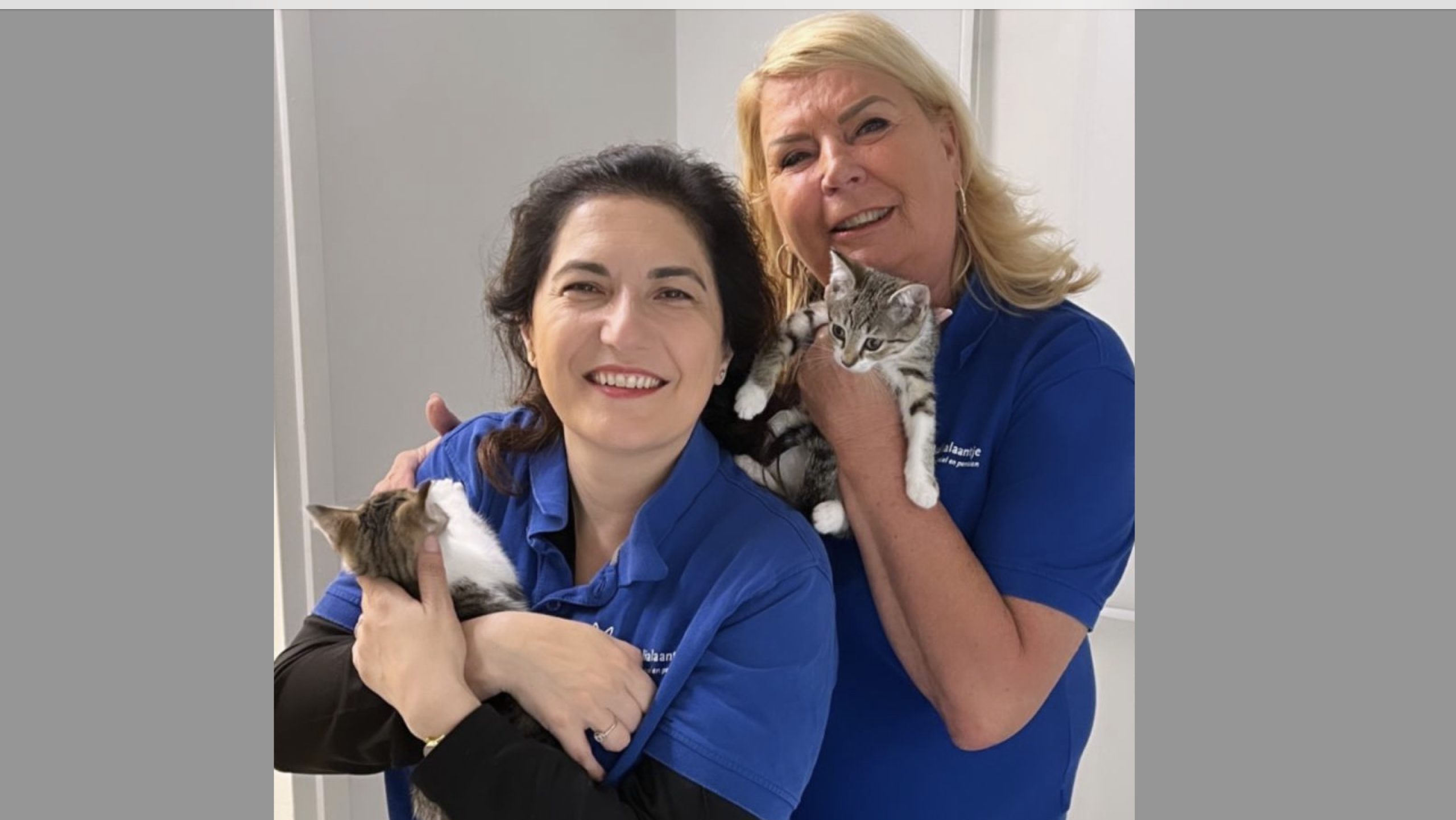 Burgemeester maakt kattenkamers schoon tijdens verrassingsbezoek dierenasiel