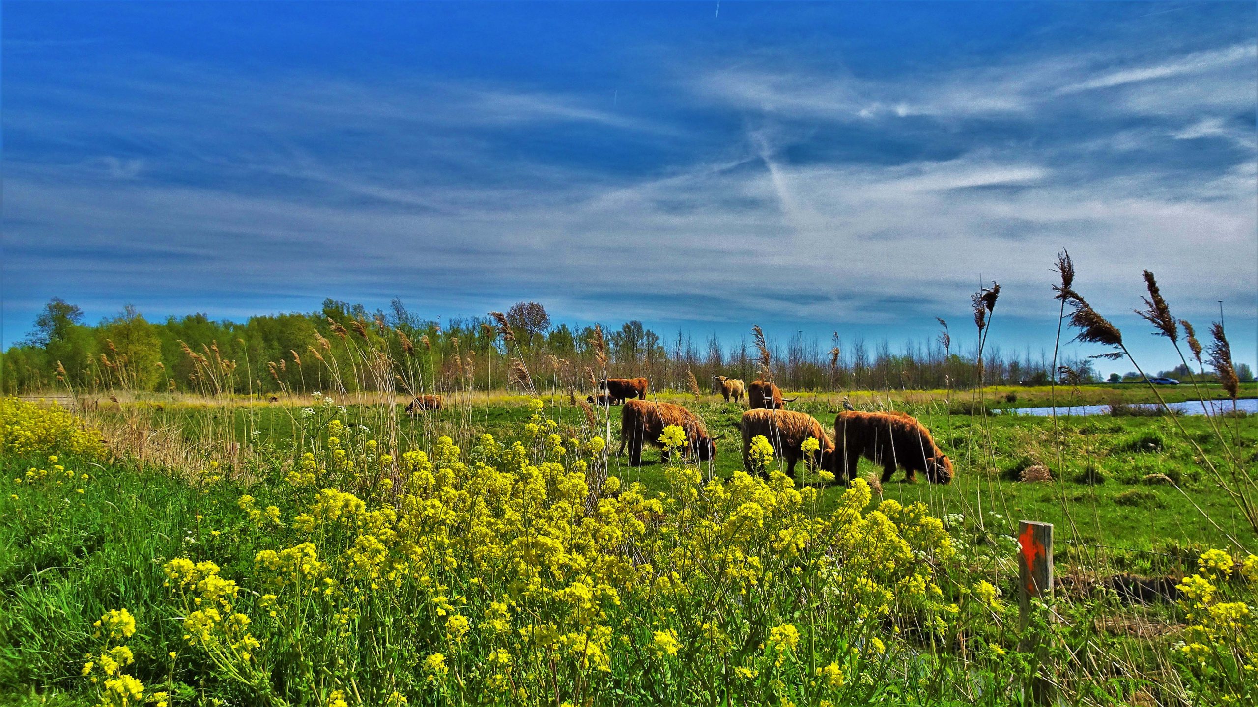 Demonstratie tegen vernieling natuur in recreatiegebied Vlietland