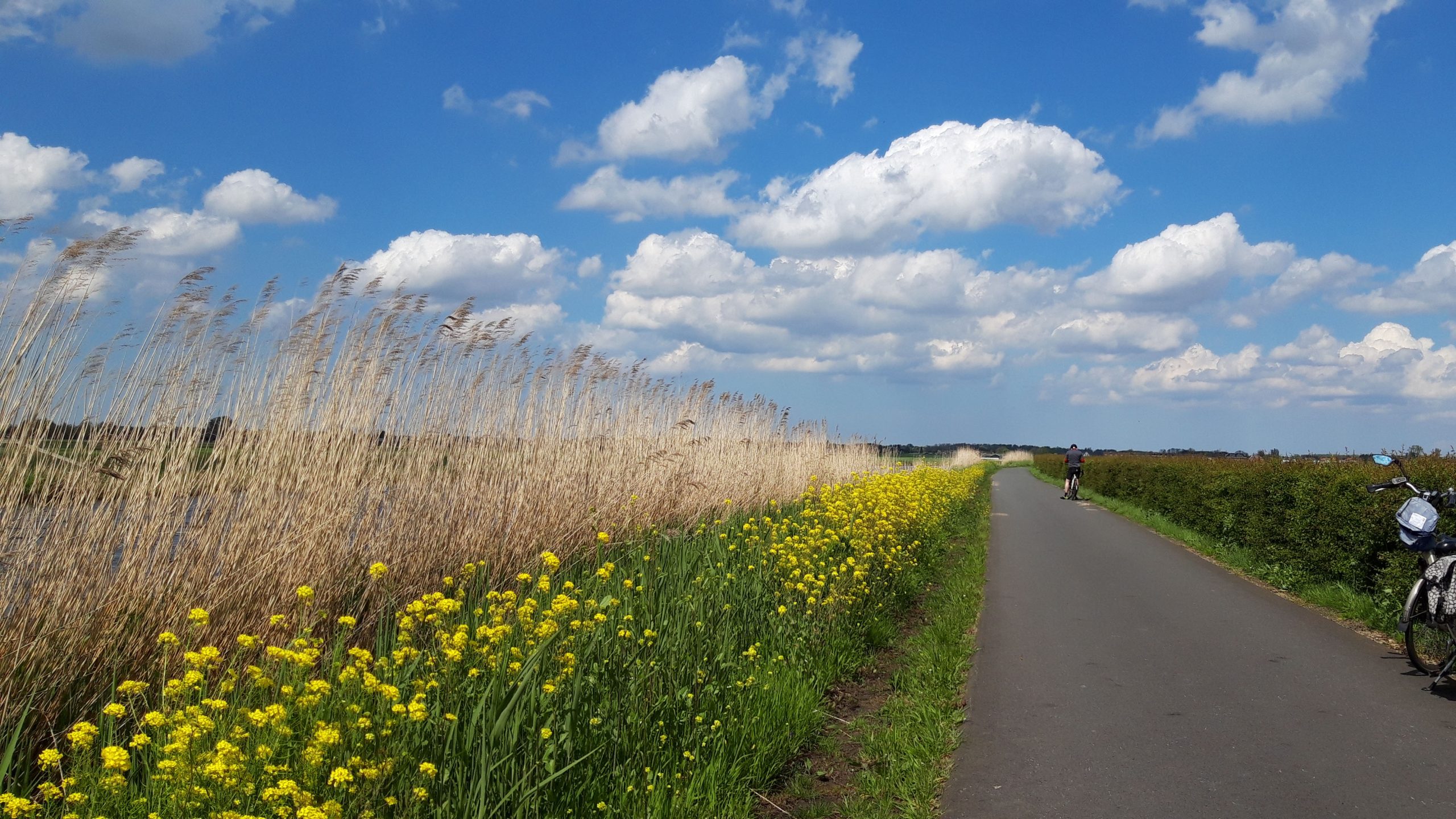 Provincie investeert miljoenen in groen rond Pijnacker-Nootdorp