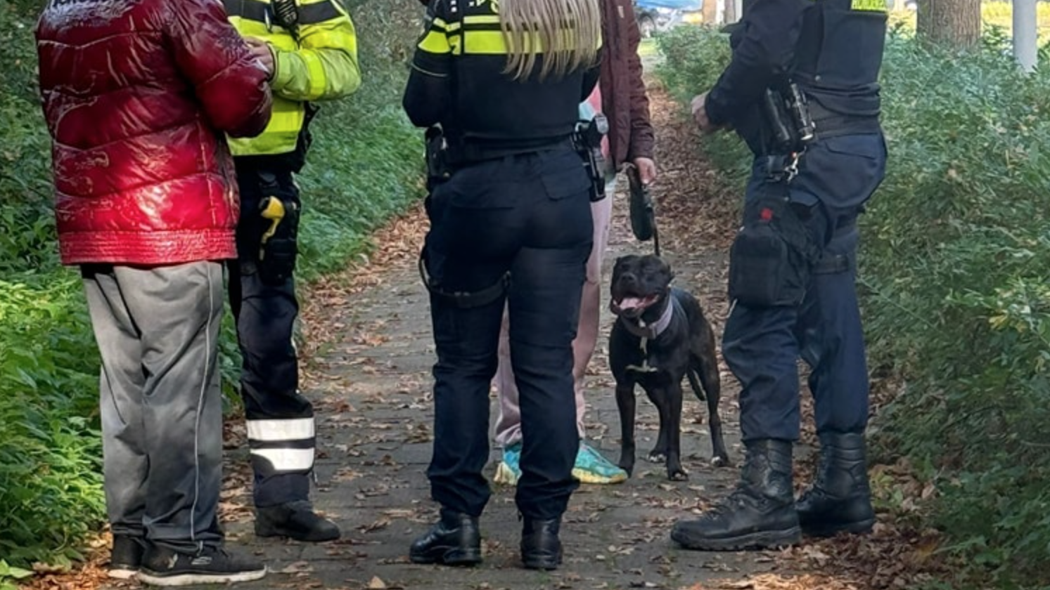 Eigenaren gebeten door hond in Rijswijk