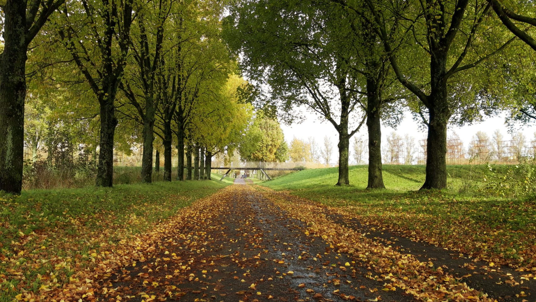 Foto’s kabelkrant